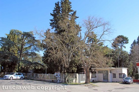 Viterbo - Il saccheggio delle Terme ex Inps