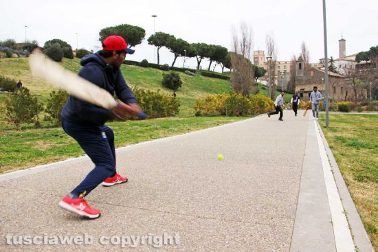 Viterbo - Cricket a Valle Faul