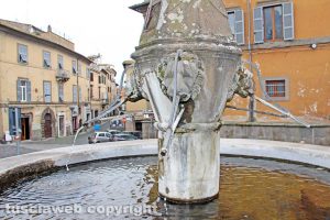Viterbo - La fontana di San Faustino