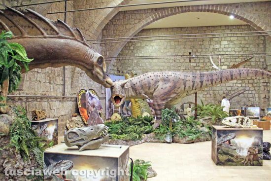 Viterbo - I dinosauri della Terra dei giganti