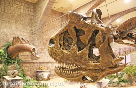 Viterbo - I dinosauri della Terra dei giganti
