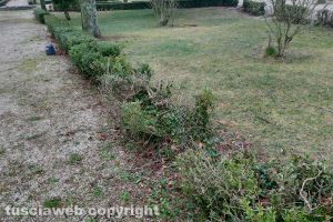 Montefiascone - I giardini della Rocca dei Papi