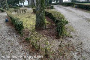 Montefiascone - I giardini della Rocca dei Papi