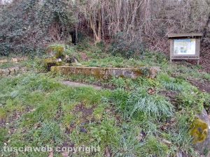 Montefiascone - Il fontanile del Roiano