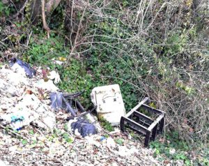 Orte - Area adiacente la discarica abusiva ex Fornace