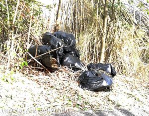Orte - Area adiacente la discarica abusiva ex Fornace
