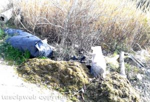 Orte - Area adiacente la discarica abusiva ex Fornace