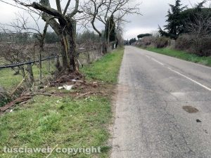 Montefiascone - Il luogo dell'Incidente mortale sulla strada per Fastello