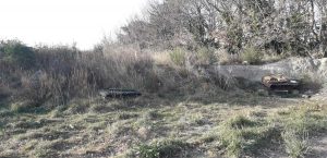 Viterbo - Ospedale di Belcolle - La bonifica nei pressi dell'isola ecologica