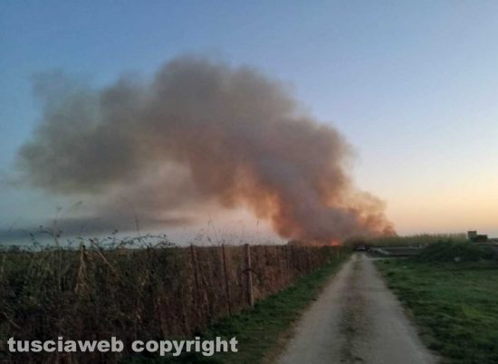 Canino - Canneto in fiamme