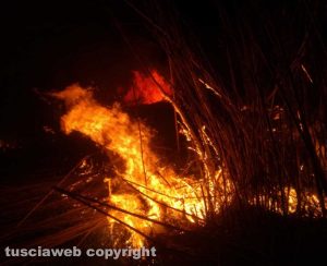 Canino - Canneto in fiamme