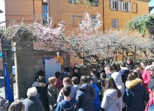Viterbo - L'inaugurazione del giardino della fraternità