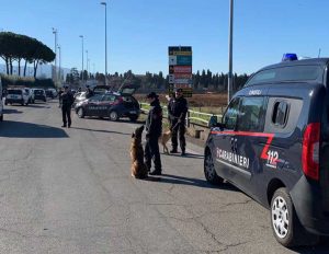 Viterbo - I controlli dei carabinieri con le unità cinofile 