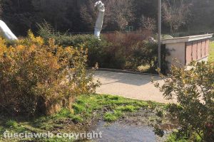 Viterbo - Acquitrino nel giardino di Valle Faul