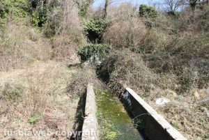 Viterbo - Il fontanile di Fiescoli nel degrado