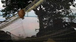  L'attività di ittiturismo La Rimessa dei pescatori