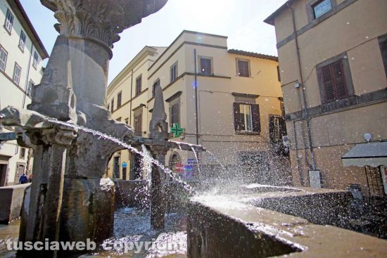 Viterbo - L'abbandono di Fontana Grande