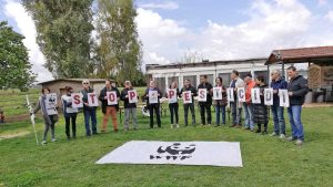 Wwf - Stop pesticidi