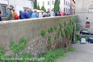 Viterbo - San Pellegrino in Fiore 2019 - Erbacce nel centro storico