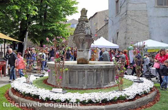 Viterbo - San Pellegrino in Fiore 2019