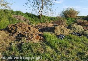 Capodimonte - I cumoli di immondizia ed erba tagliata