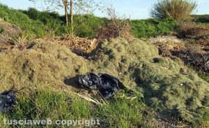 Capodimonte - I cumoli di immondizia ed erba tagliata