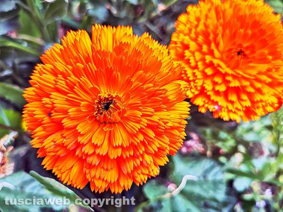 IMG_20190411_152633-