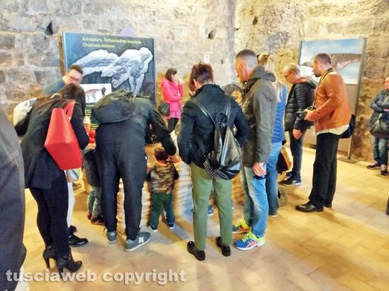 Viterbo - Il pubblico dei dinosauri della "terra dei giganti"