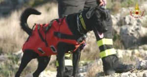 L'Aquila - Tommy, Il cane eroe