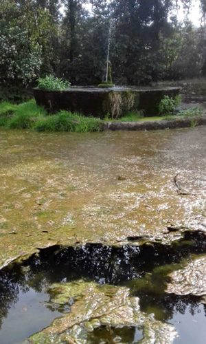 Melma in una delle fontane di Villa Lante a Bagnaia
