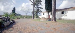 Nepi - Bene confiscato alla mafia