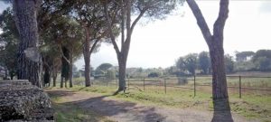 Nepi - Bene confiscato alla mafia