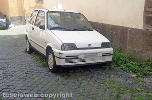 Viterbo - Erbacce in via del Pavone