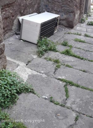 Viterbo - Erbacce in via Bellavista