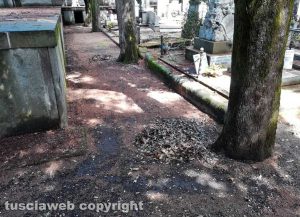 Viterbo - Il cimitero nel degrado