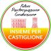 Insieme per Castiglione