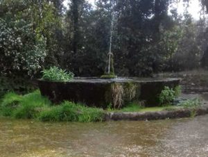 Melma in una delle fontane di Villa Lante a Bagnaia