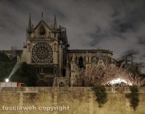 Parigi - Notre-Dame dopo l'incendio