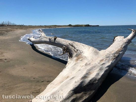Il mare di Tarquinia