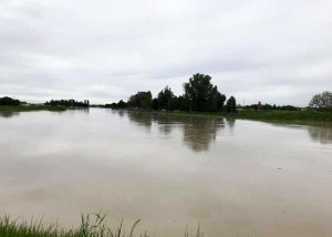 Maltempo - Il fiume Secchia in piena a Modena