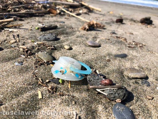 Tarquinia - Un ciuccio sulla spiaggia