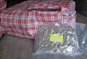 La marijuana sequestrata a bordo del tir