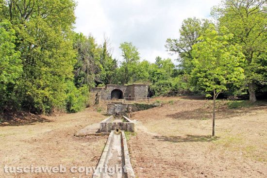 Viterbo - Un fontanile del XVI secolo