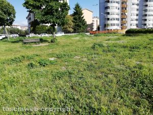 Viterbo - Santa Barbara - Area verde a piazzale dei Buccheri