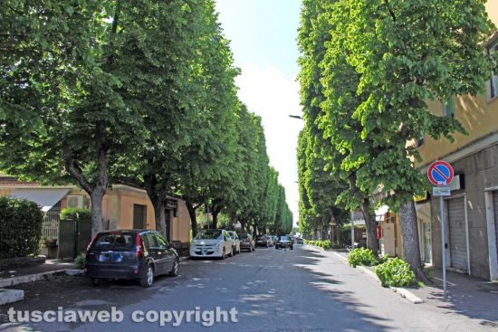 Viterbo - Viale Bruno Buozzi