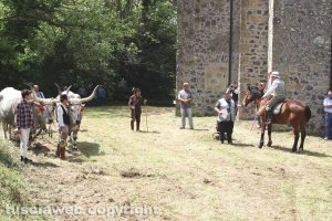 Tornano i poeti a braccio alla festa di Sant’Isidoro l’agricoltore