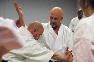 Amsterdam - International Budo Seminar