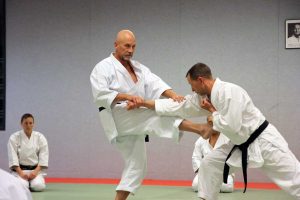Amsterdam - International Budo Seminar