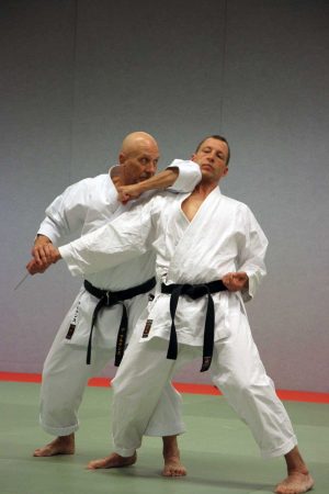 Amsterdam - International Budo Seminar