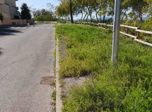 Erbacce a Montalto di Castro